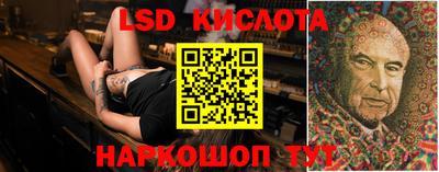 PSILOCYBIN Кулебаки