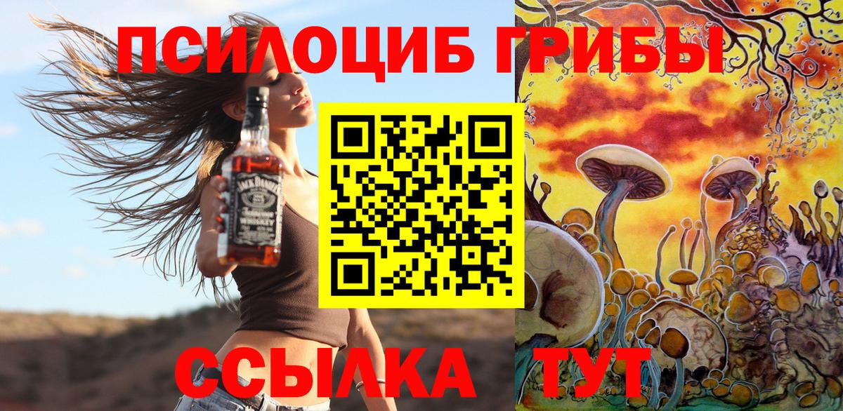 Ишим  цены наркотик  Вход с VPN  Галлюциногенные грибы мицелий 